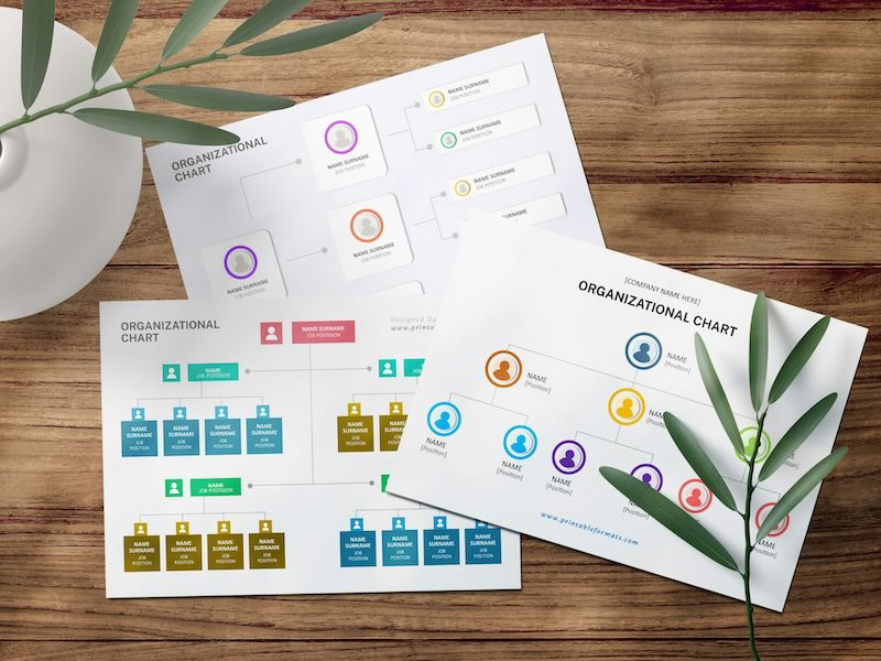 Org chart software in effective headcount management | TeamOhana blog