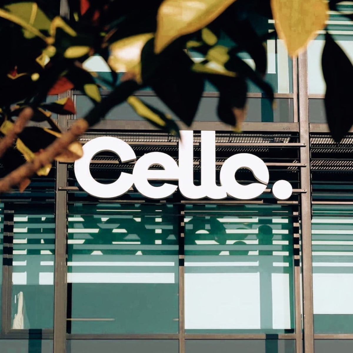 Cello office