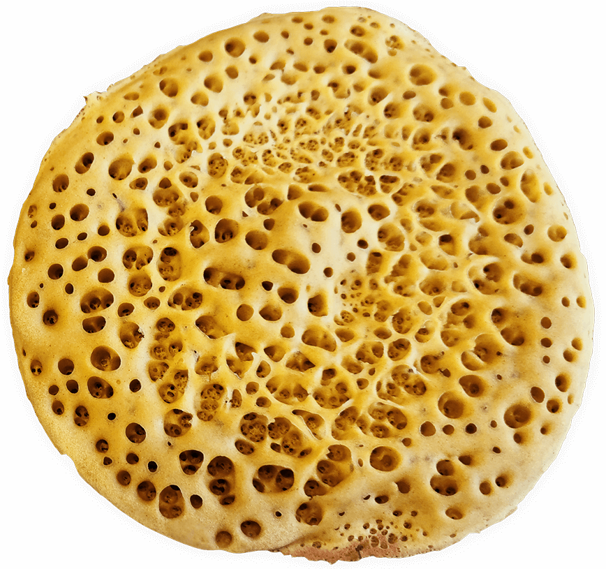 Ployes are the world's most versatile flatbread made of buckwheat and wheat flours.