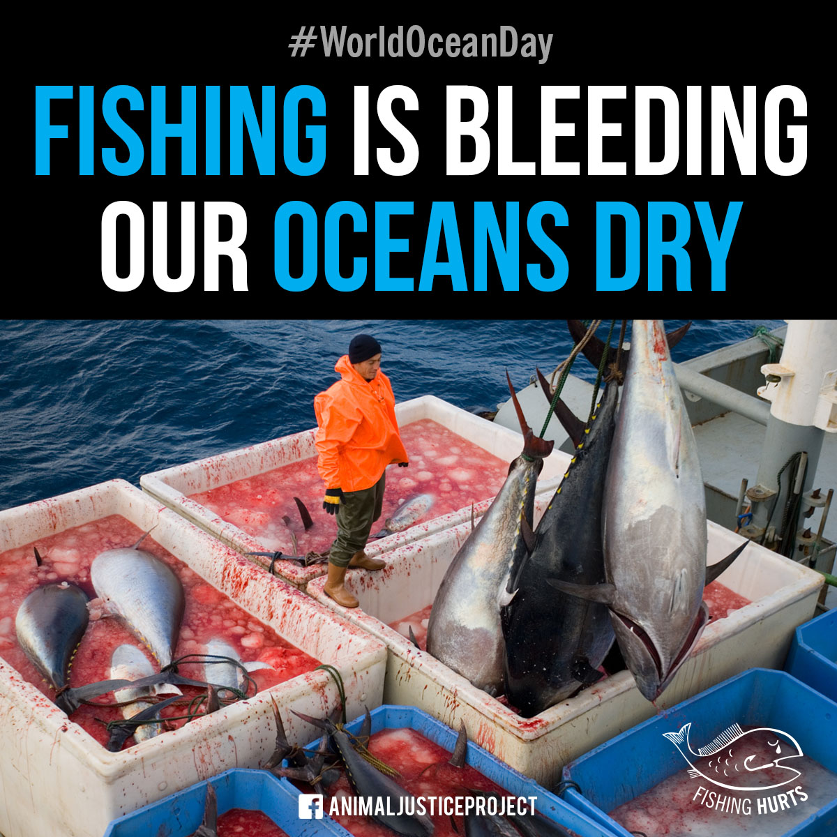 This World Oceans Day, help us spread the word Fishing Hurts