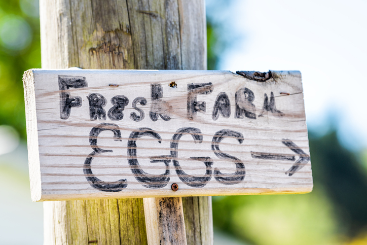 sign on a country road post that reads, "Farm Fresh Eggs"