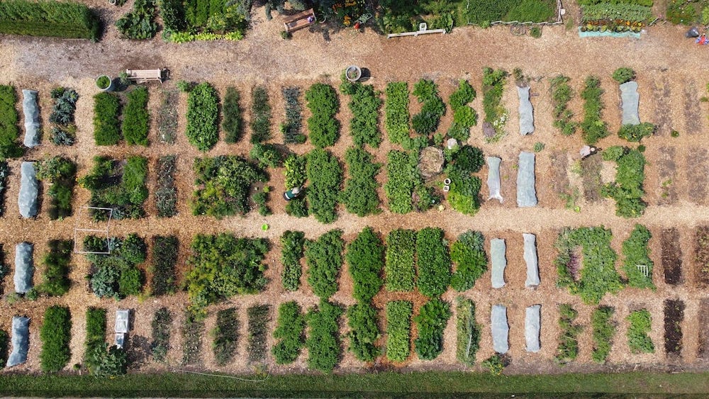 Edmonton Urban Farm