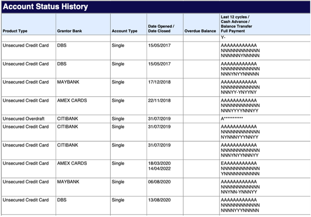 Understanding Your Credit Bureau Singapore (CBS) Report | Lendingpot