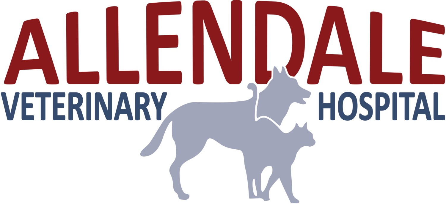 About Us Allendale Veterinary Hospital A FullService Animal Hospital
