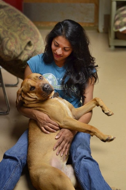 Menoka volunteering at no-kill animal shelter