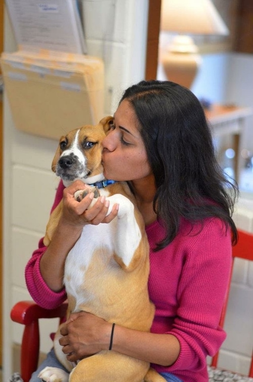 Menoka holding a brown and white dog at the no-kill animal shelter