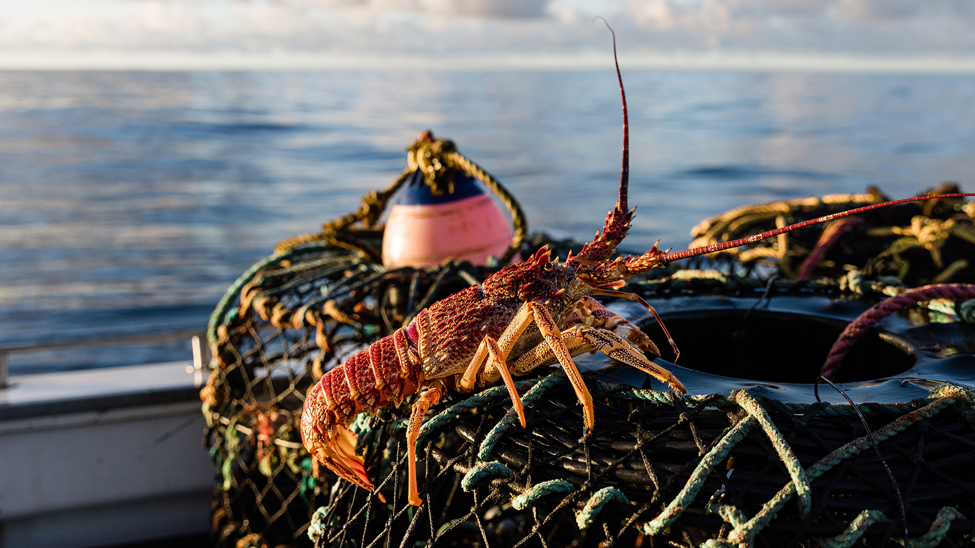 Seafood Industry Australia