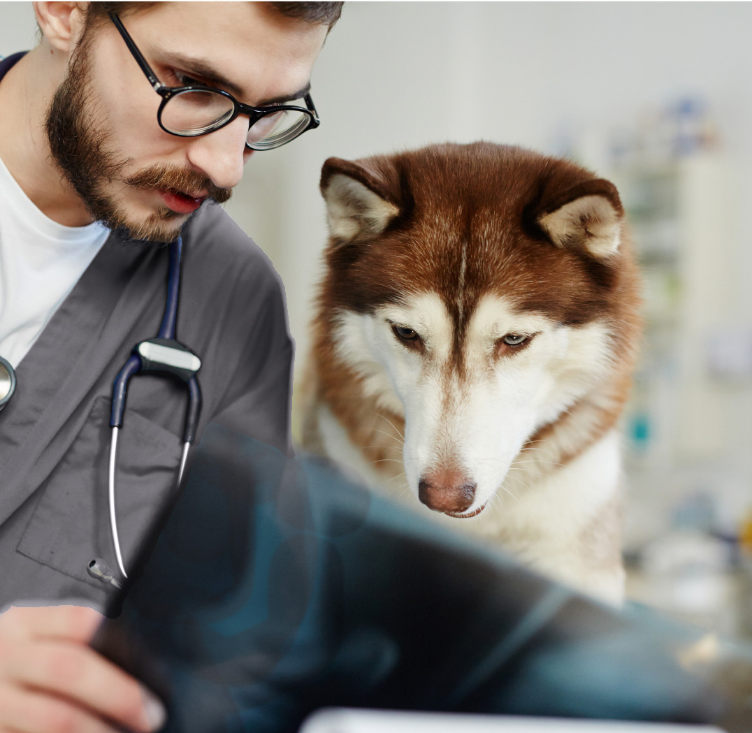 About Dr. Treat Making Veterinary Care, Personal