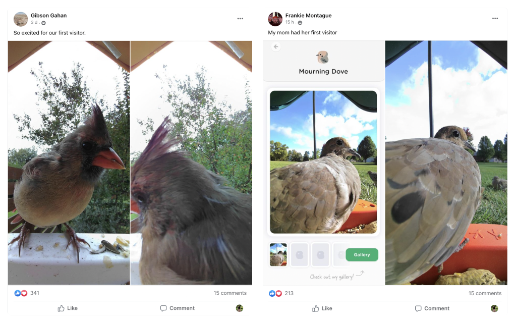 First Bird Buddy orders have been shipped - Bird Buddy Blog