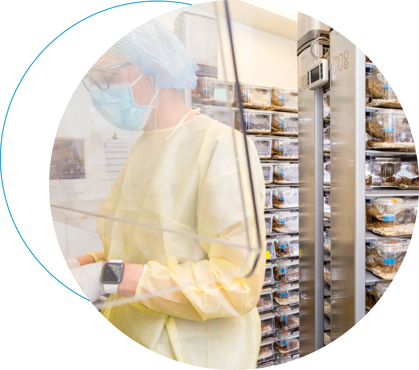 Rodent Vivarium Lab Space & Vivarium Services Mispro