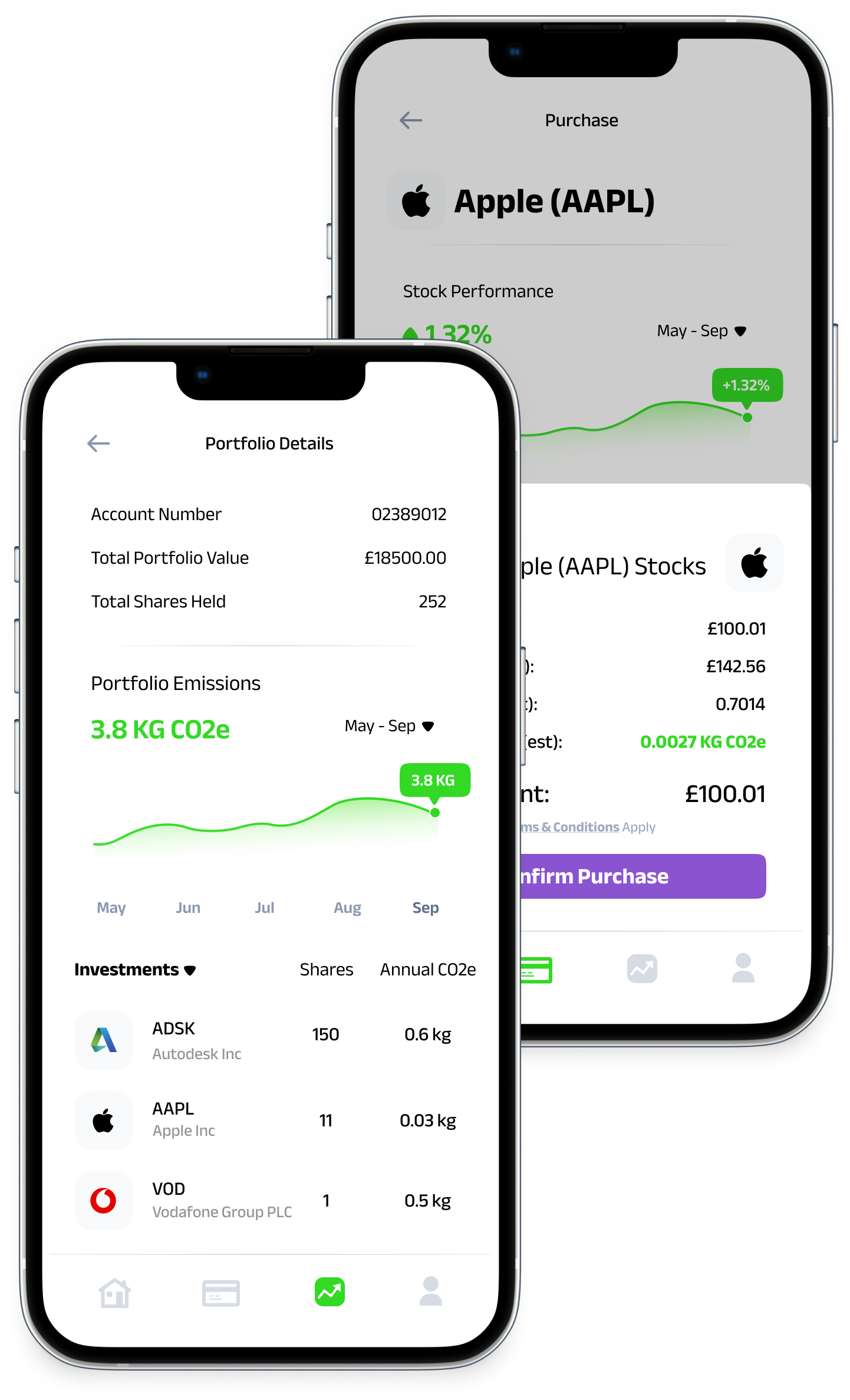 Mockup of the investment platform with carbon data