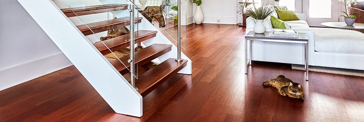 A closer look at High End Animal Friendly Ventures