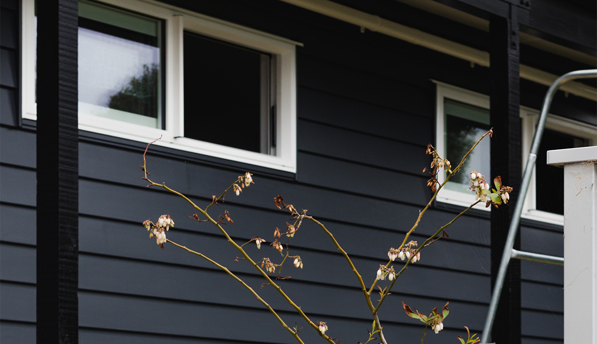 Picture of An Outdoor Experience: Home Exterior Makeover in Porirua, Wellington ...