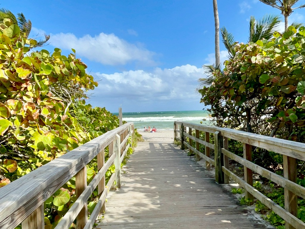 A walkway going towards the beach