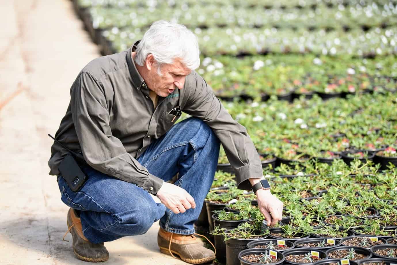 Compra de plantas simplificada