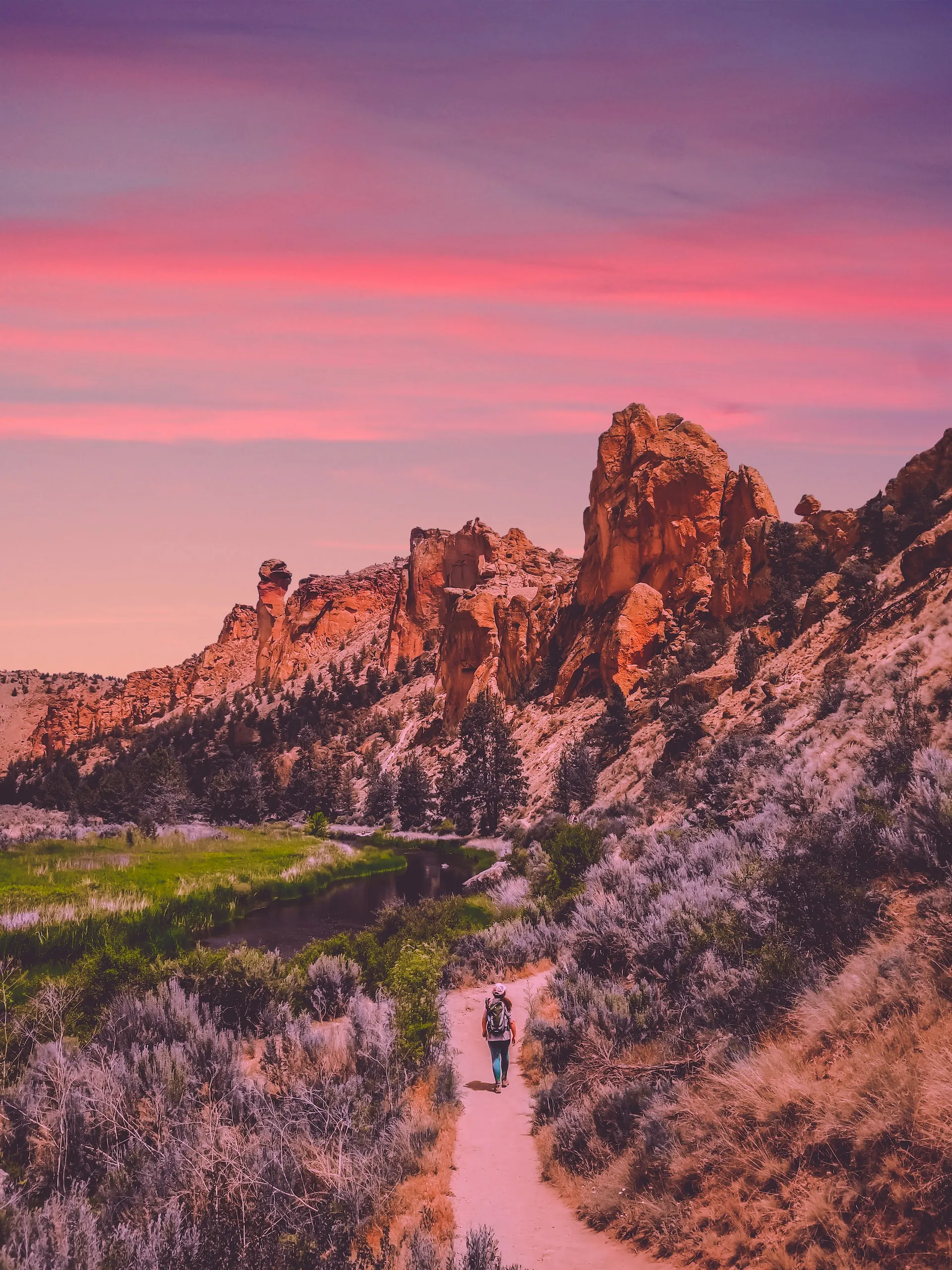 Paisajes comestibles en altitud: cómo cultivar sus propios alimentos en Colorado