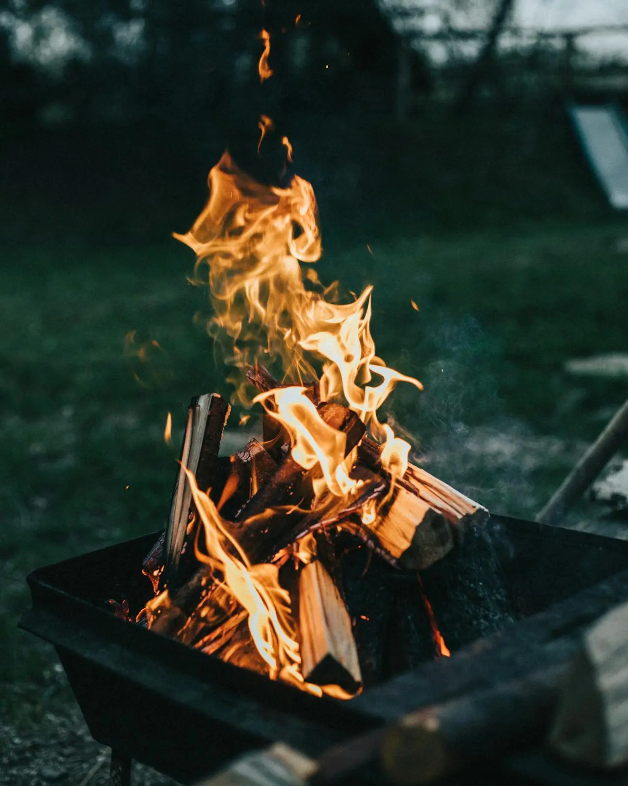 Guide to Fire-Resistant Landscaping | Blog | Arbor Valley Nursery