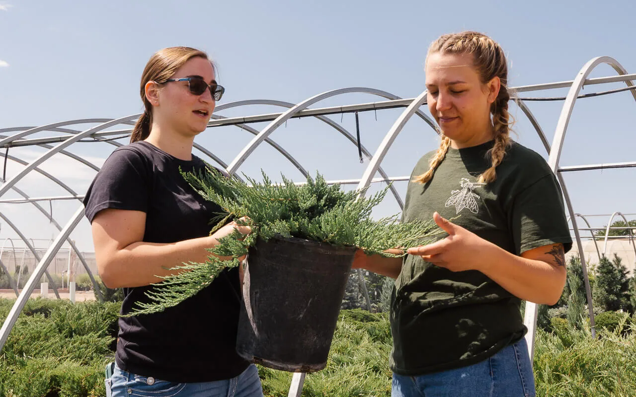 Arbor Valley Nursery employees talking while holding a plant