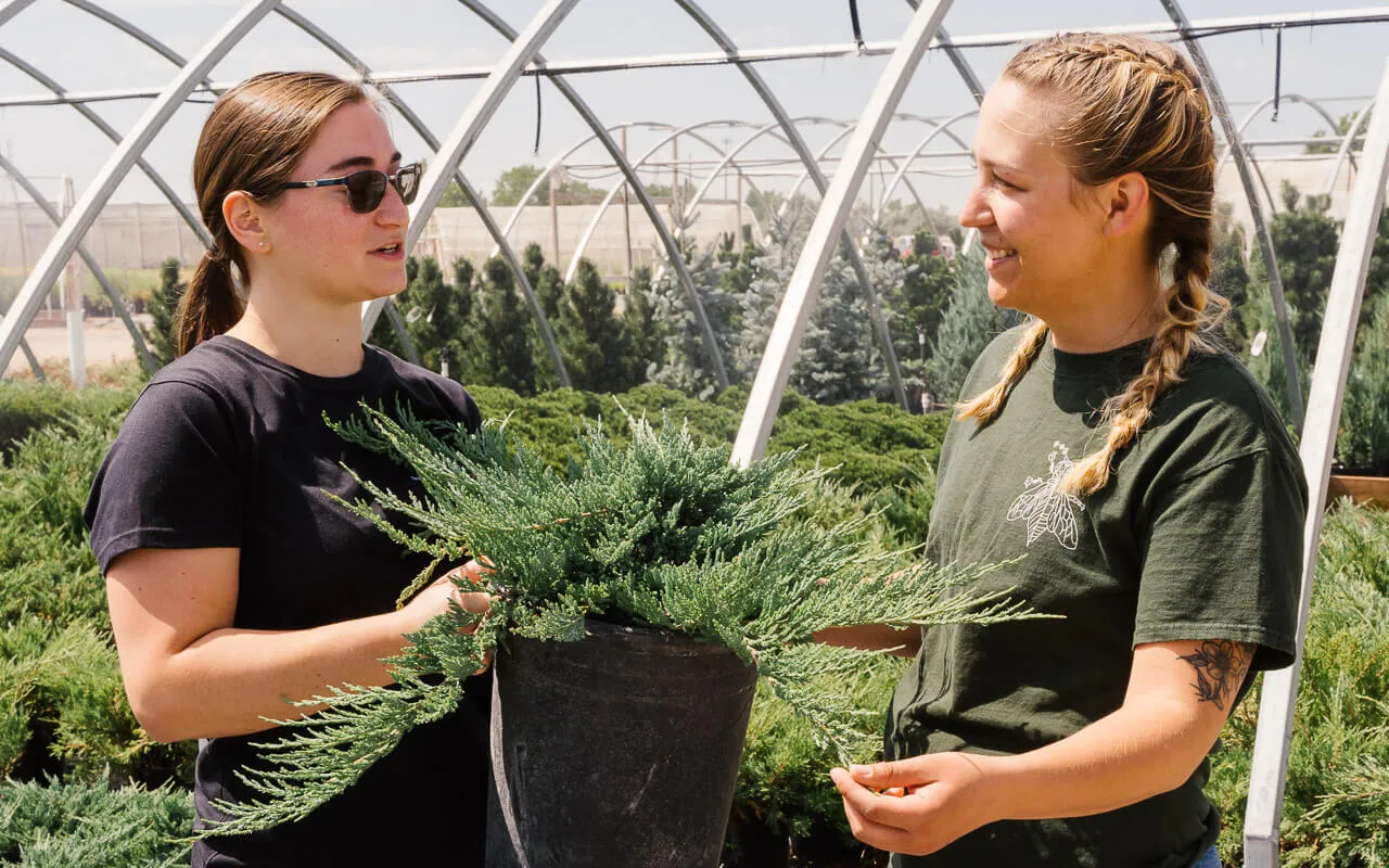 The Landscaper's Guide Arbor Valley Nursery