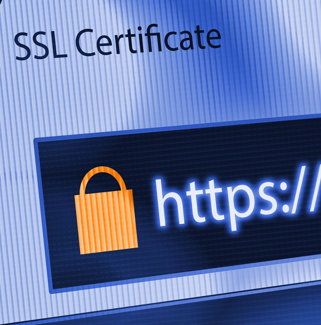Ssl agent. Ssl agent