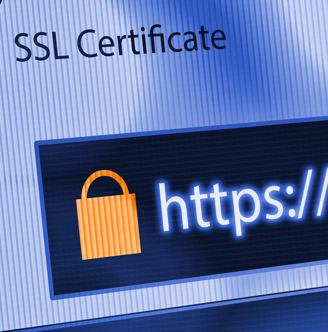 Wordpress ssl. SSL сертификат Ubuntu.