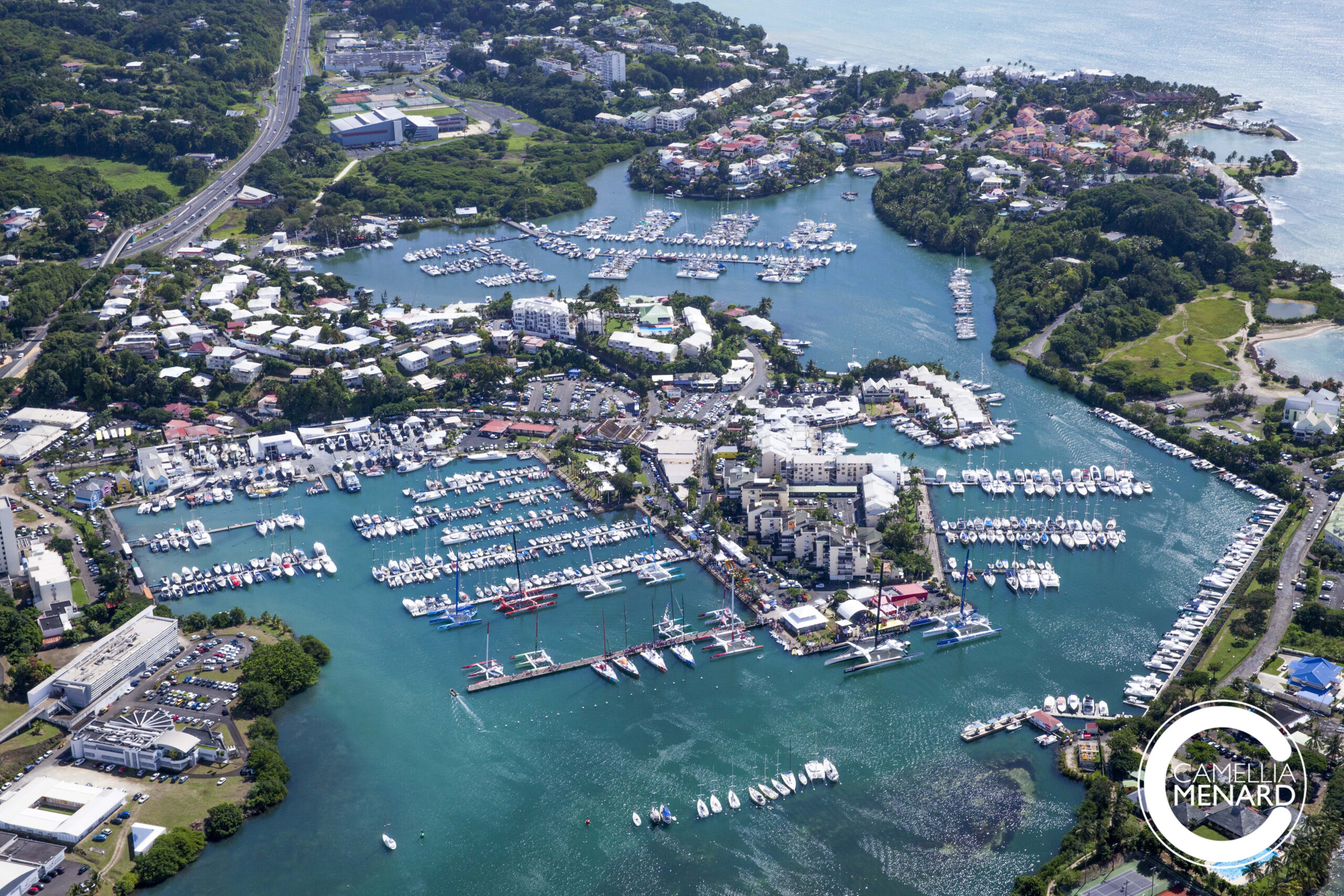 Marina BasduFort PointàPitre, Guadeloupe Marinalife