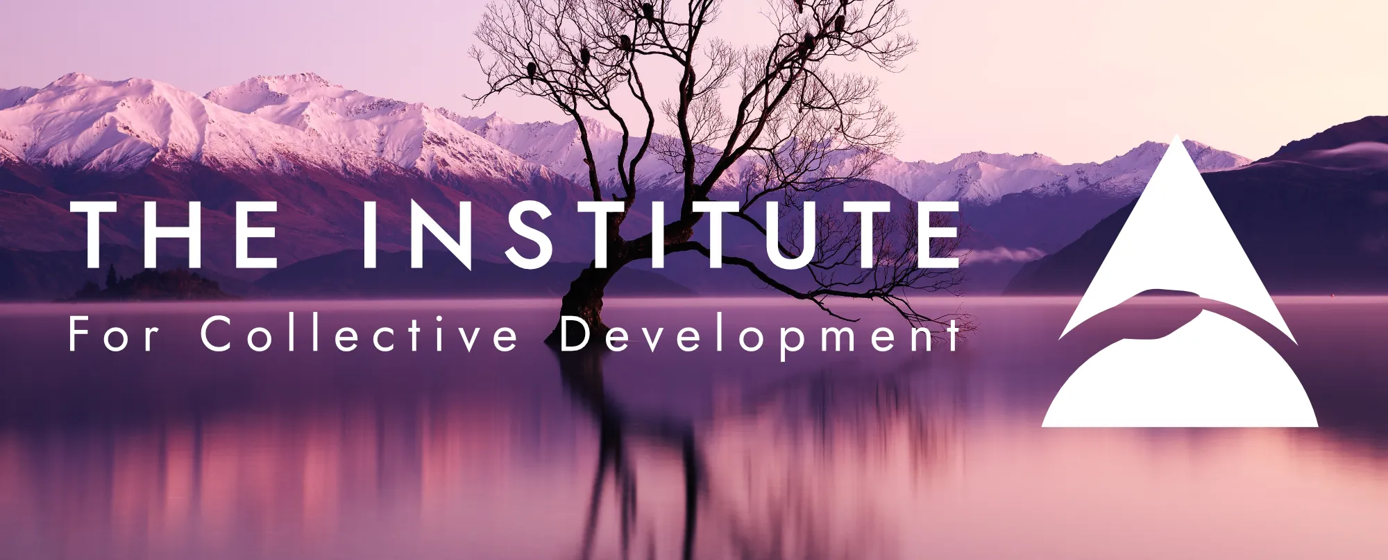 The Institute for Collective Development