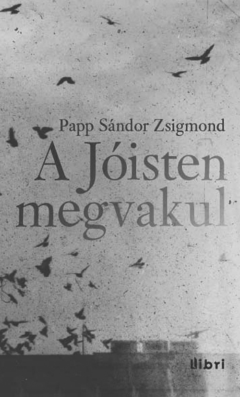 papp_sandor_zsigmond_borito