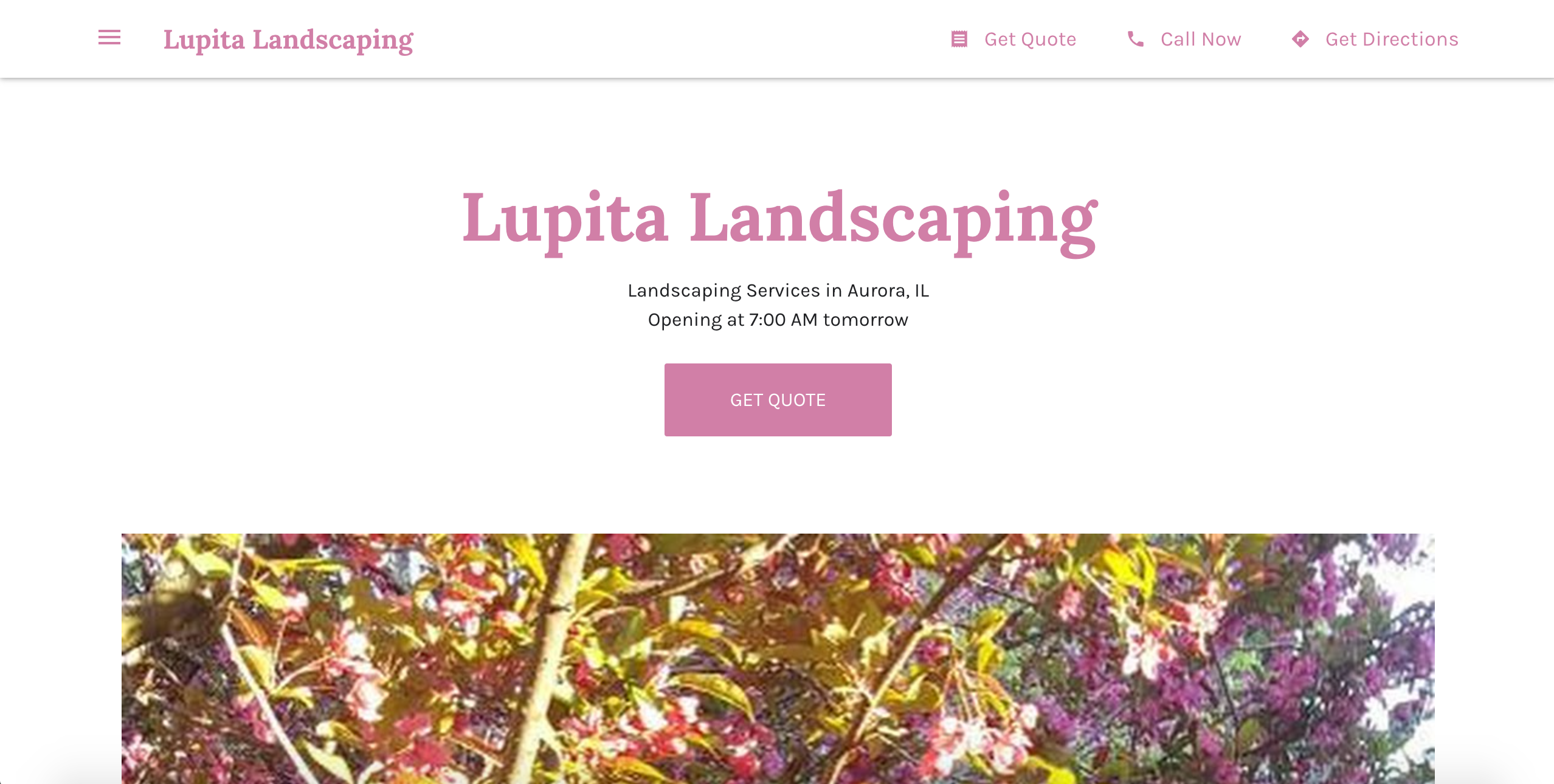 example of landscape marketing website gone wrong