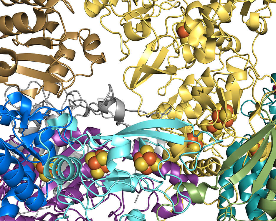 Protein Structure Determination