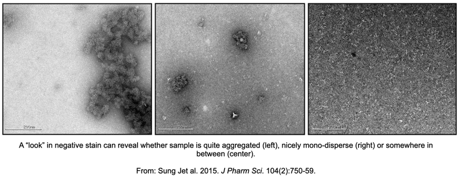 Negative Stain for High Resolution Cryo-EM Workflows