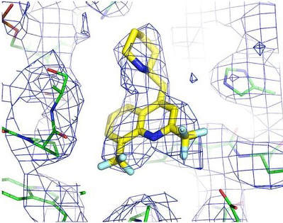 How Cryo-EM can Improve the Design of Scaffolds in Medicinal Chemistry