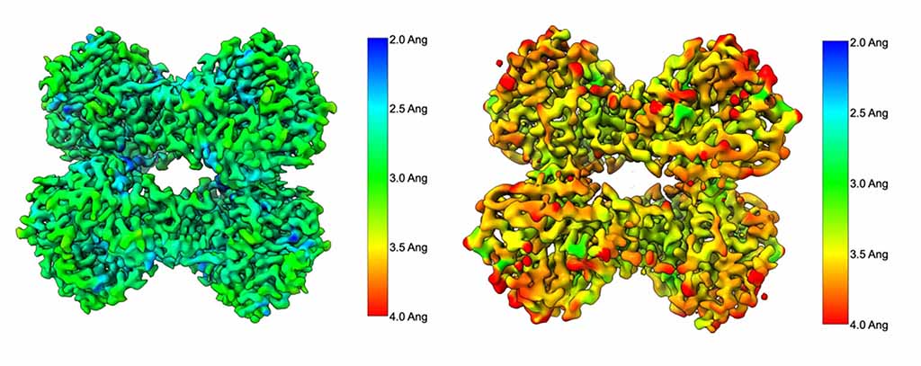 3D reconstructions for beta amylase from cryo-em grids