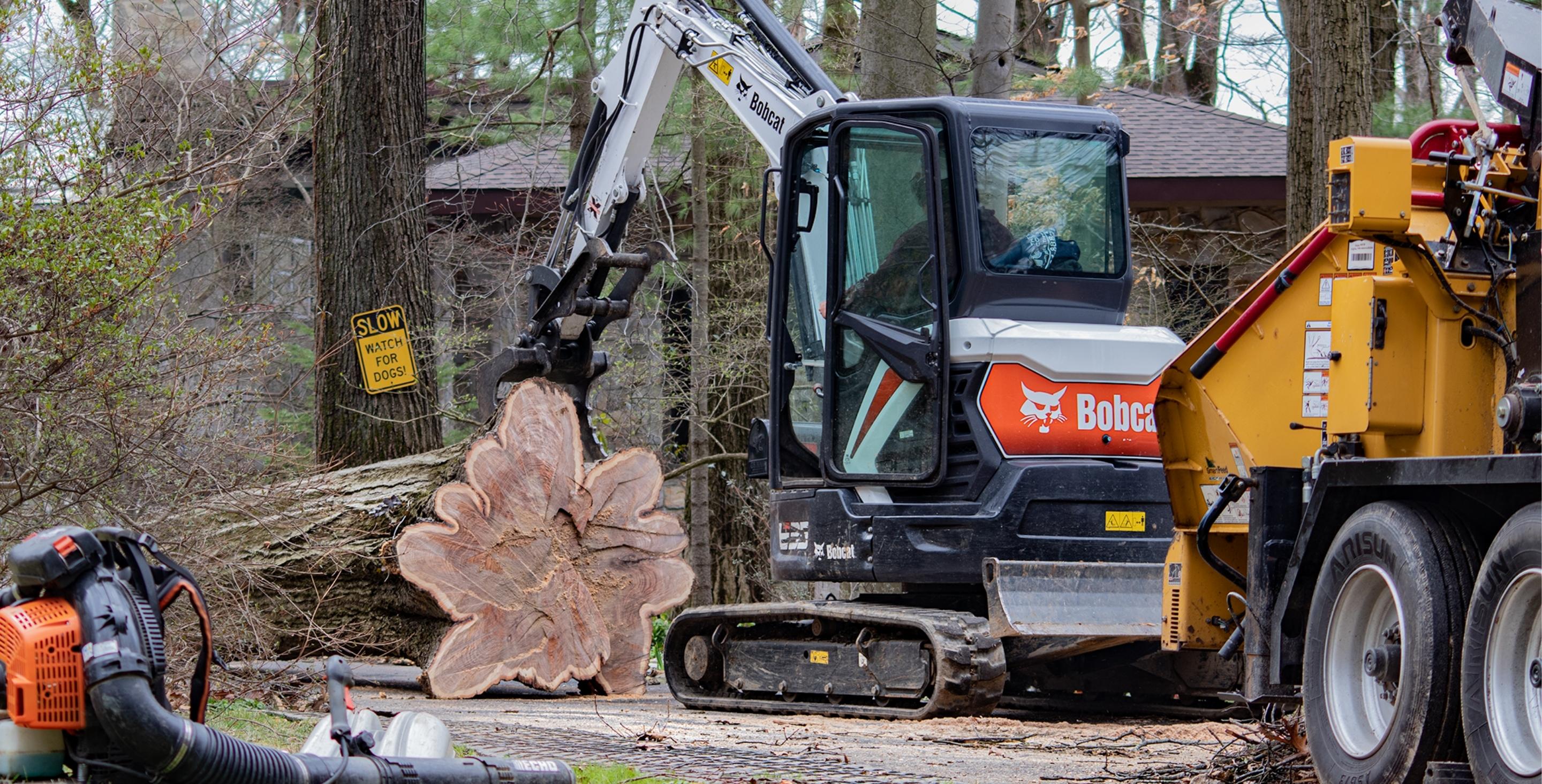 Complete Tree Removals The Tree Connection Coatesville, PA