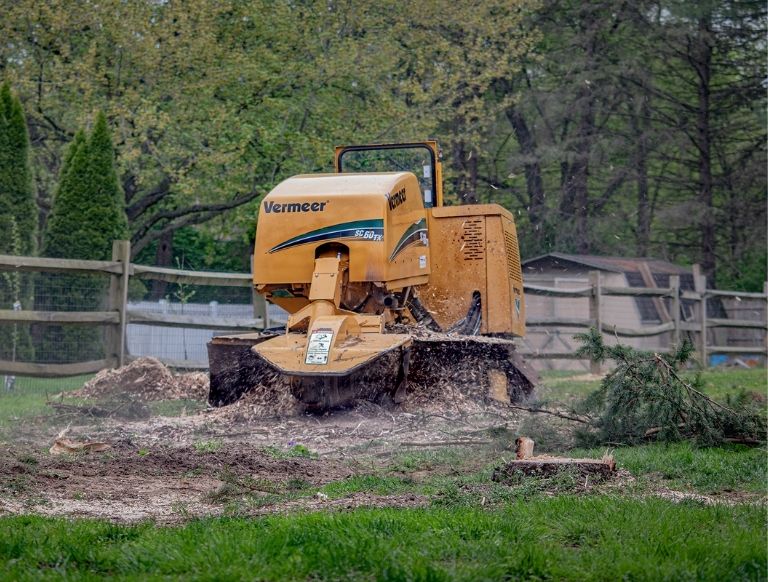 Tree Stump Grinding