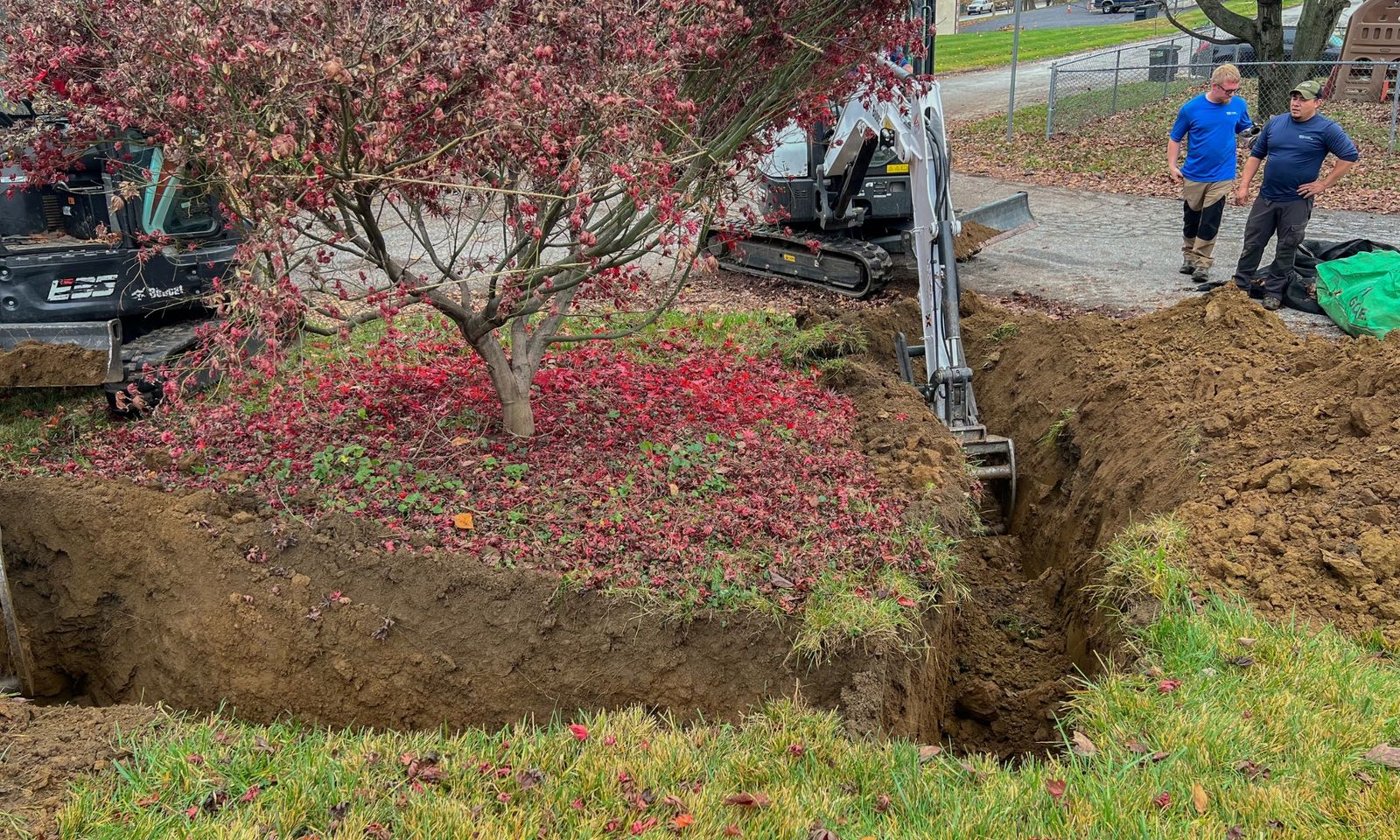 Tree Planting & Transplanting The Tree Connection Coatesville, PA