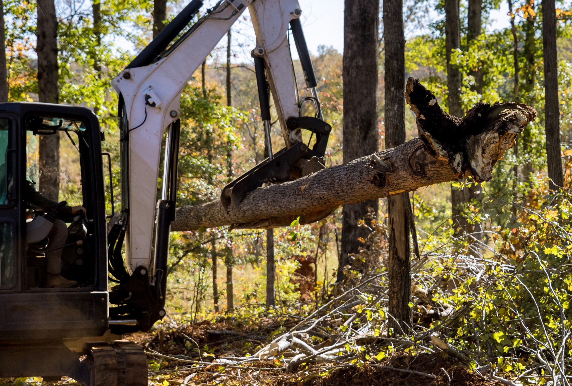 The Process of Lot and Land Clearing | The Tree Connection ...