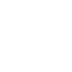 Google icon