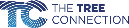 tree connection logo