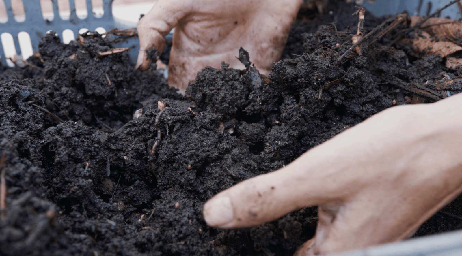 The Ultimate Guide to Composting
