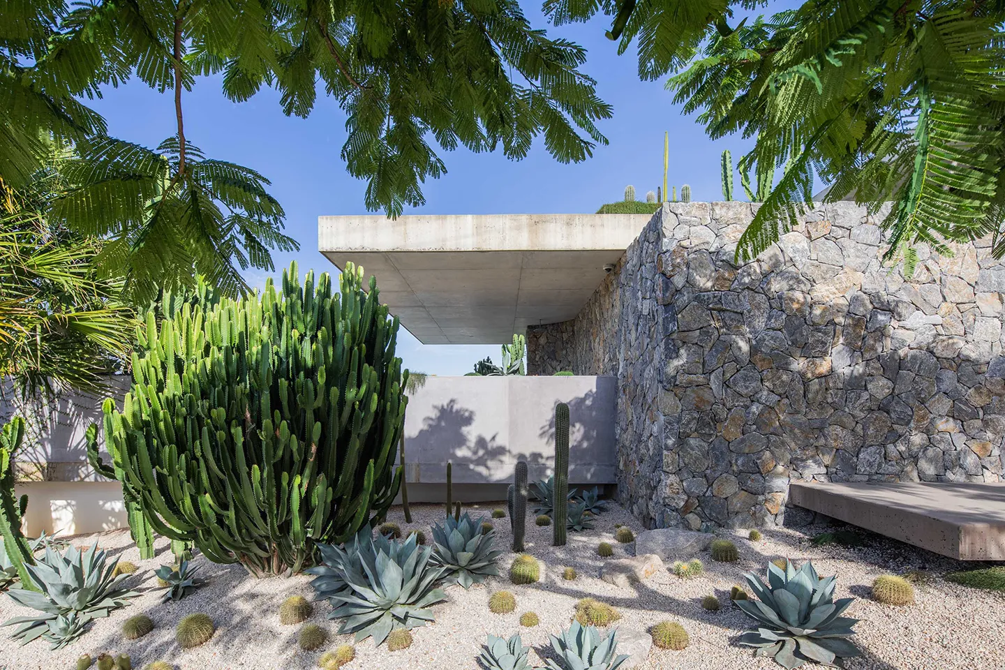 The front view of the Cactus House - showing the unique cactus style front garden