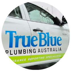 True Blue Plumbing testimonial