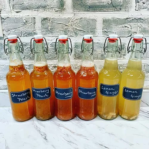 Photo of our homemade kombucha in glass bottles.