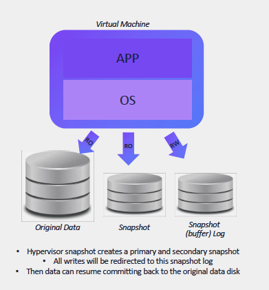 Virtual machines