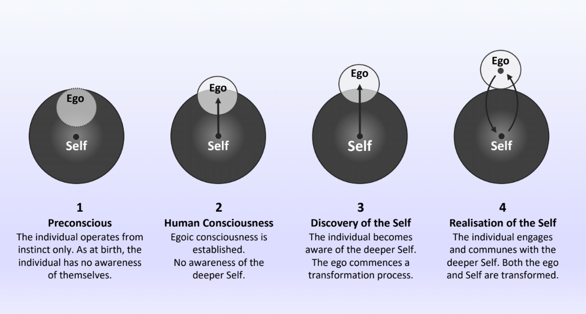 The Quest for Consciousness | School of Human Potential