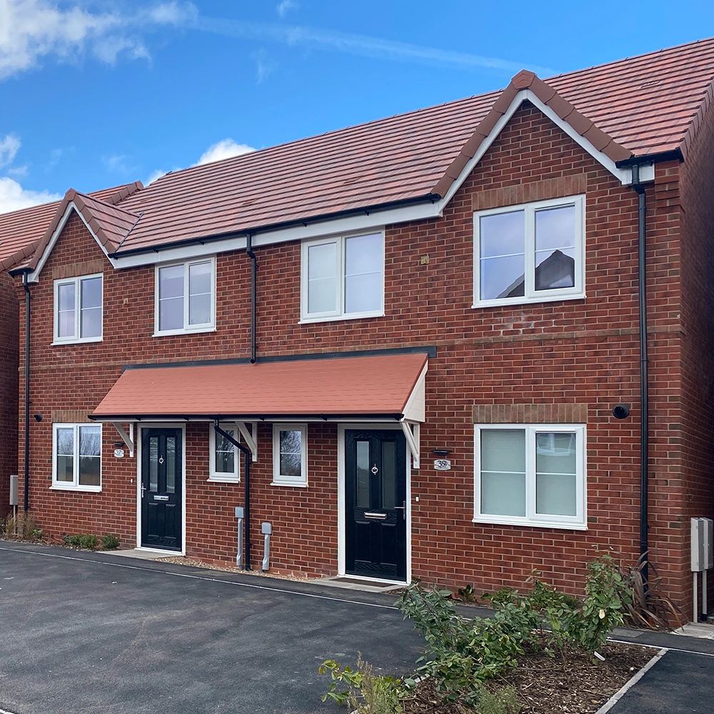 Segregated Mandate Hearthstone