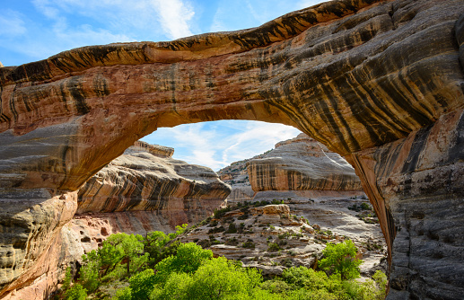 Happy Pioneer Day (Utah) from your friends at GoCertify!