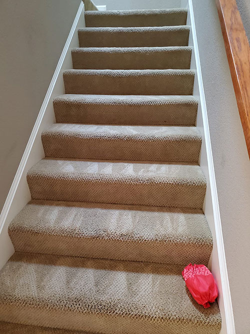 Carpet Cleaning Services services San Francisco & East Bay — BerryClean