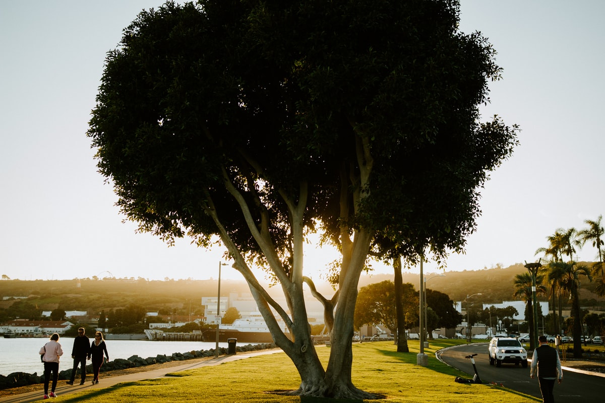 20 Top EdTech Startups & Companies (San Diego)