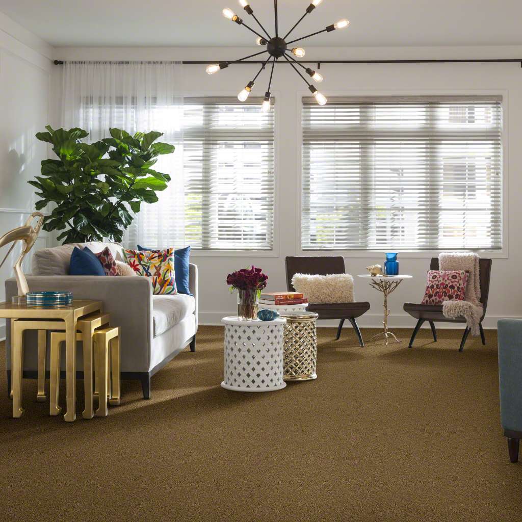 Kalamazoo Warmth Carpet Molyneaux Home